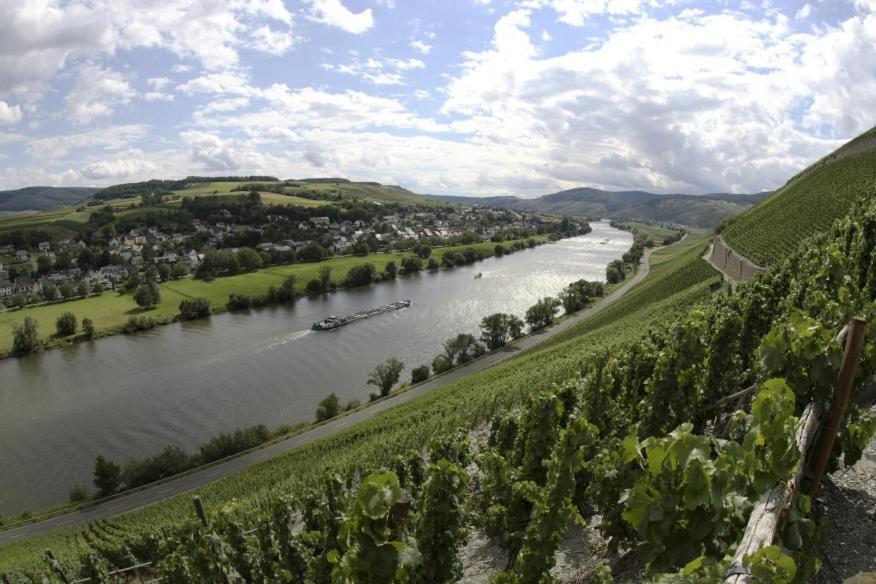 ブラウンエーベルクWeingut Fehresアパートメント エクステリア 写真
